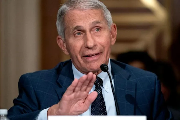 anthony fauci explaining something