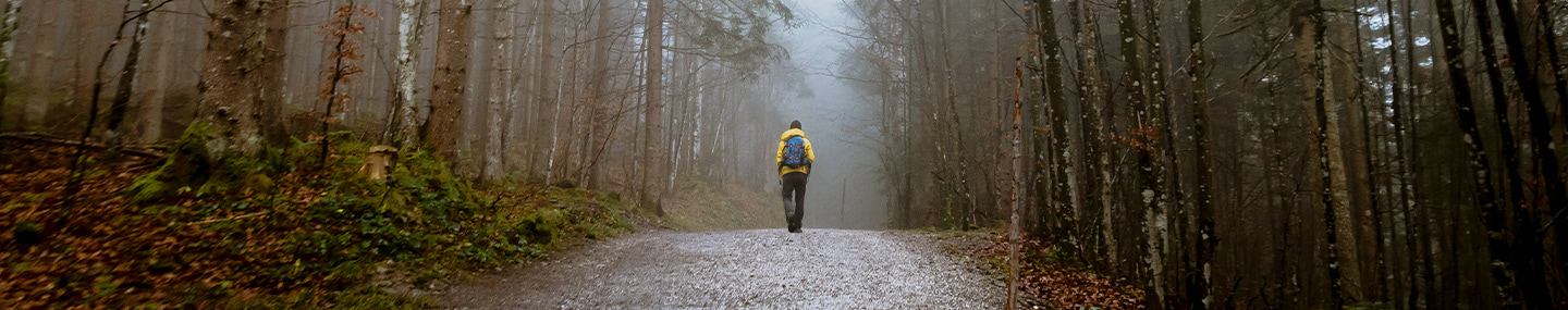 man walking alone in the forest